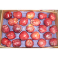 Roter köstlicher Huaniu Apfel für Verkauf